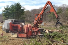 land-clearing-new-jersey-231